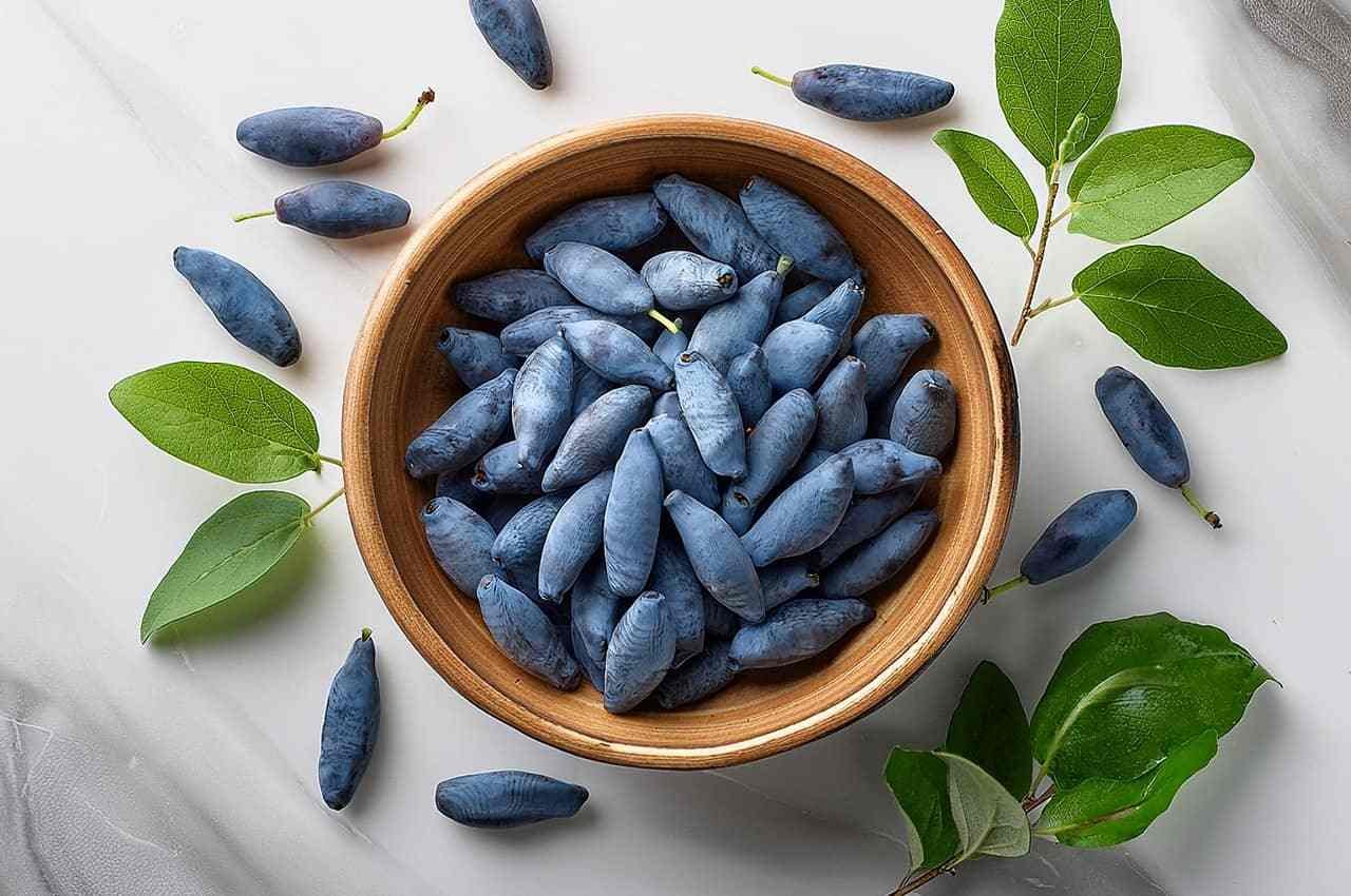 Жимолость: користь та шкода для здоров’я, харчова цінність ягід