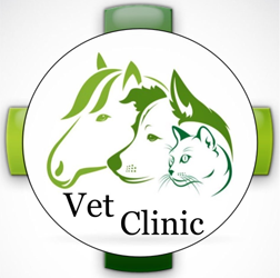 Ветеринарна допомога лікаря Лободенка: відгуки та досвід клієнтів