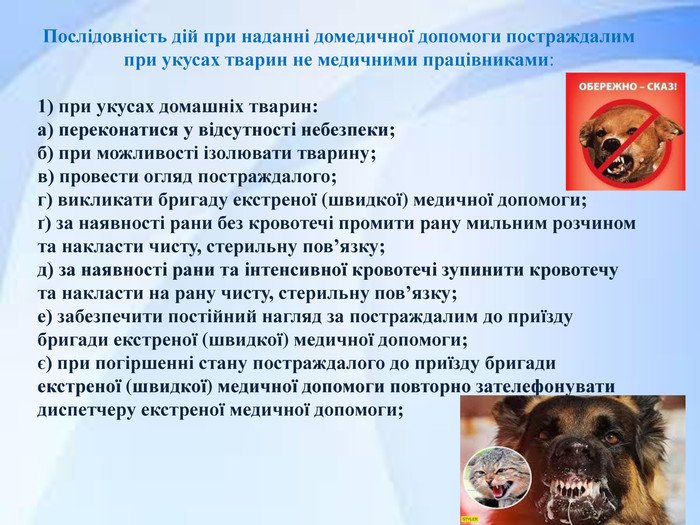 Перша допомога при укусах скаженими тваринами: що робити?