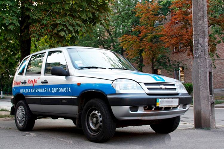 Що робити при екстренній ситуації: ветеринарна швидка допомога