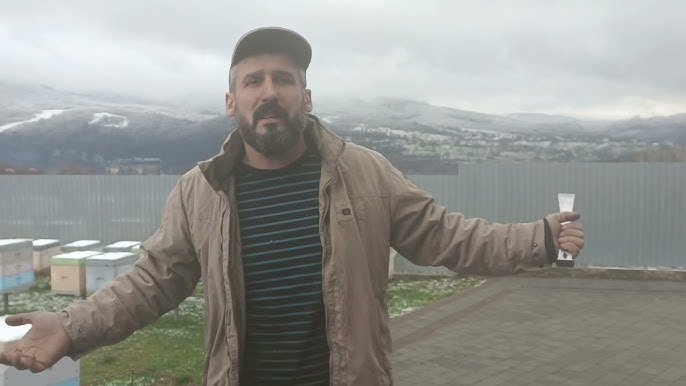 Міжнародна фінансова допомога бджолярам: як отримати підтримку?