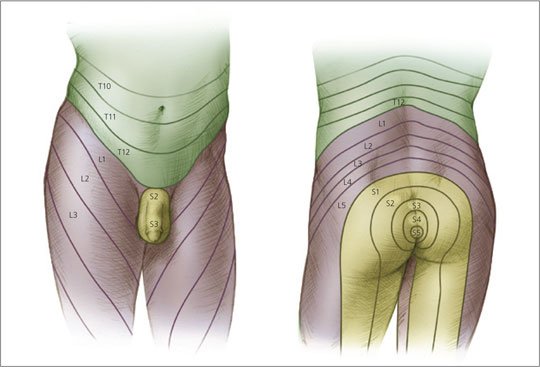 Перша допомога при затримці сечі: як діяти швидко та ефективно?
