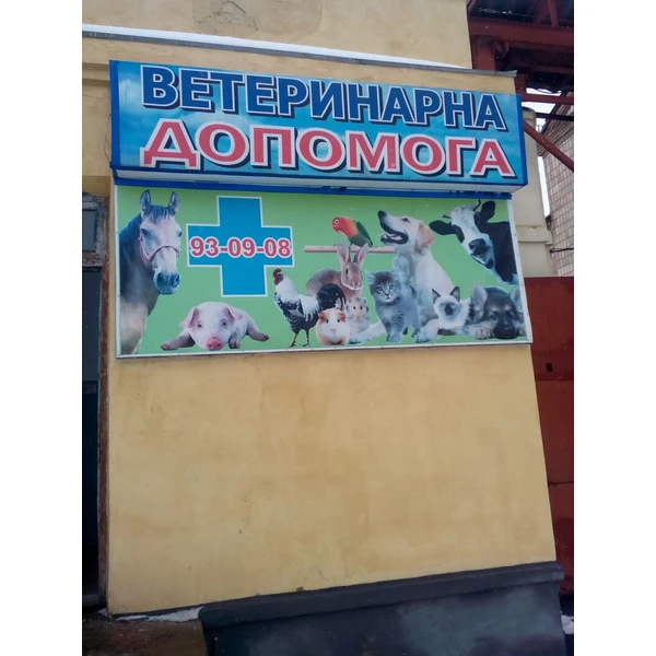 Ветеринарная клиника Любечская 80: яка ветеринарна допомога доступна?