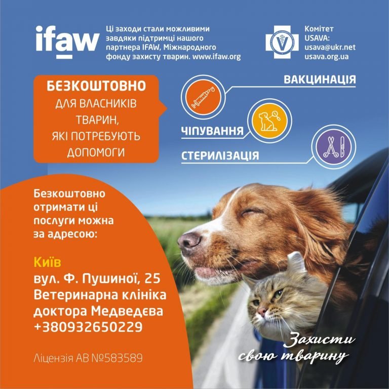 Цілодобова ветеринарна допомога: де знайти термінову допомогу?