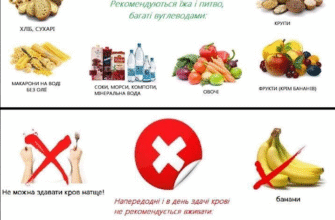 Чи можна їсти перед здачею крові: правила підготовки до аналізу