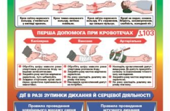 Домедична допомога при кровотечі: правила та алгоритми дій