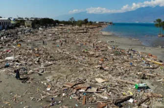 Наслідки цунамі: вплив стихії на екосистему та людські життя