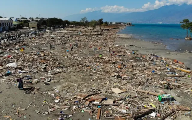 Наслідки цунамі: вплив стихії на екосистему та людські життя