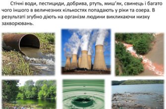 Негативні наслідки впливу людини на природу проявилися: ключові факти