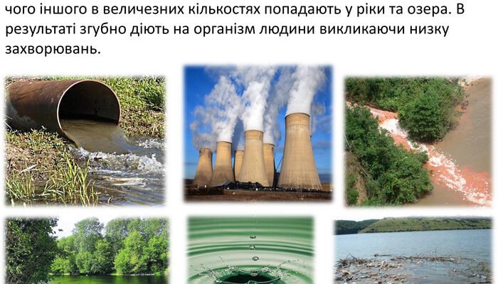 Негативні наслідки впливу людини на природу проявилися: ключові факти