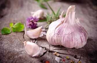 Чи можна ковтати часник: переваги, ризики та поради експертів
