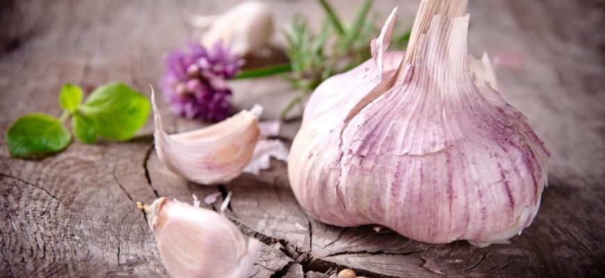 Чи можна ковтати часник: переваги, ризики та поради експертів