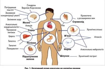 Наслідки вживання алкоголю: вплив на здоров’я та соціальні проблеми