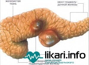 Видалення підшлункової залози: наслідки та адаптація організму