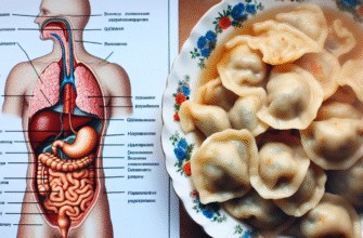 Чи можна їсти вареники після видалення жовчного міхура? Розбираємося!