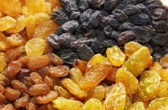 Чи можна їсти ізюм на ніч: переваги та ризики вечірнього вживання