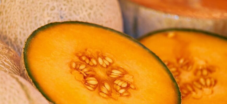 Чи можна собакам диню: користь, ризики та рекомендації ветеринарів