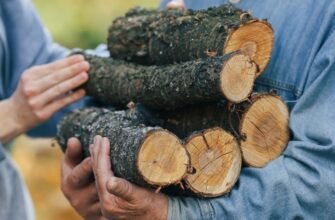 Державна допомога на дрова 2025: як отримати підтримку ефективно