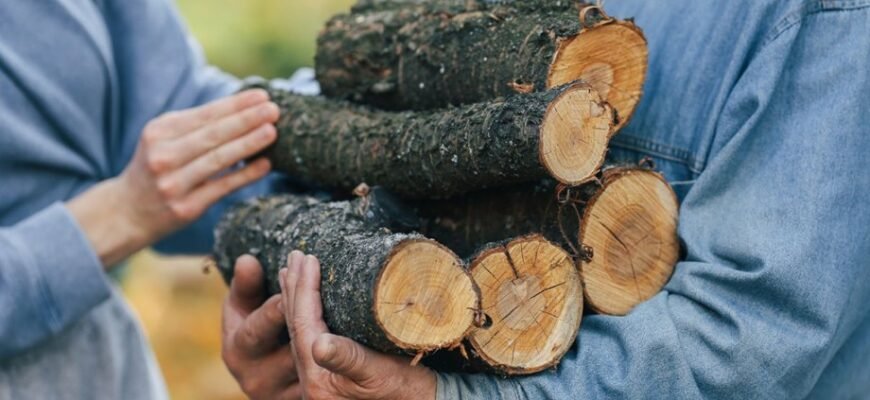 Державна допомога на дрова 2025: як отримати підтримку ефективно