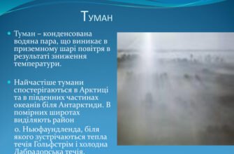Чи можна назвати туман водяною парою: детальний аналіз феномену