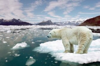 Загрозливі наслідки глобального потепління: як зміни впливають на світ