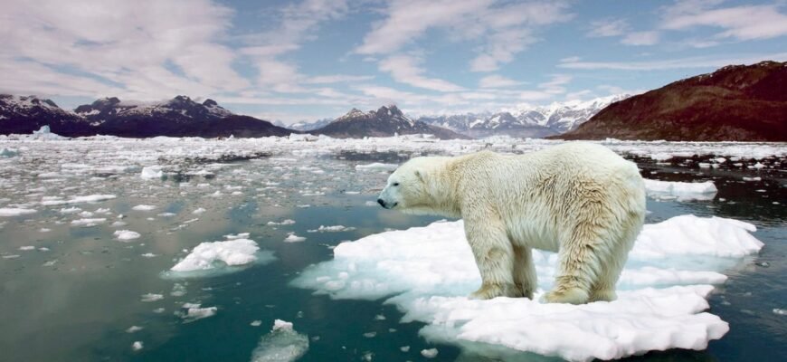 Загрозливі наслідки глобального потепління: як зміни впливають на світ