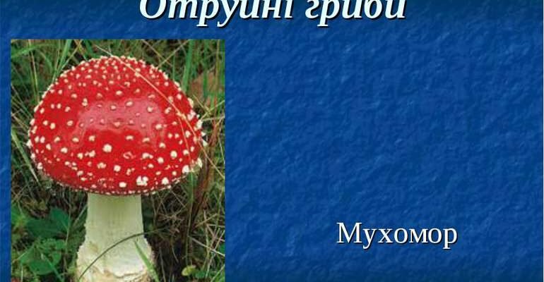 Чи можна їсти мухомори: небезпека вживання та альтернативи