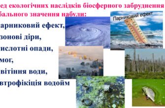 Наслідки забруднення навколишнього середовища: що варто знати кожному