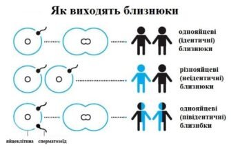 “Різниця між двійнятами і близнюками: основні факти та відмінності”