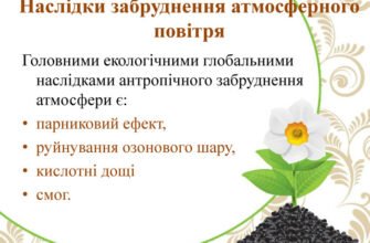 “Які наслідки забруднення атмосфери: вплив на здоров’я і природу”