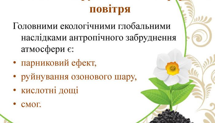 “Які наслідки забруднення атмосфери: вплив на здоров’я і природу”