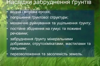 Наслідки забруднення ґрунтів: вплив на екосистеми та здоров’я людей