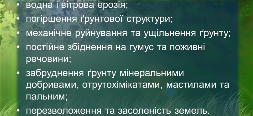 Наслідки забруднення ґрунтів: вплив на екосистеми та здоров’я людей