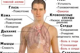 Наслідки анемії: вплив на здоров’я та шляхи їх подолання