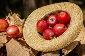 Чи можна їсти яблука при цукровому діабеті: поради фахівців і дослідження