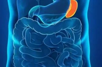 Наслідки видалення селезінки: що слід знати для здоров’я?