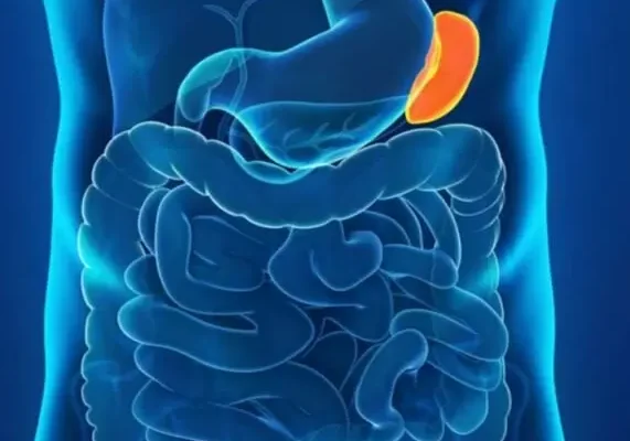 Наслідки видалення селезінки: що слід знати для здоров’я?