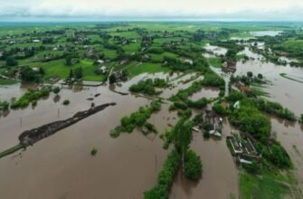 Наслідки повеней: вплив на довкілля, економіку та суспільство