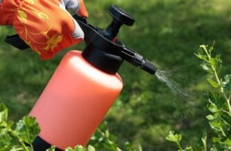 Чи можна змішувати фунгіциди з добривами: поради та рекомендації