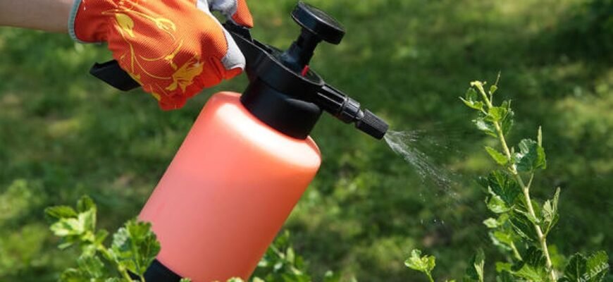 Чи можна змішувати фунгіциди з добривами: поради та рекомендації