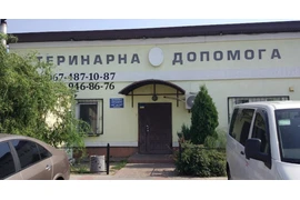 Ветеринарна допомога у Бучі: Комплексні послуги для ваших улюбленців