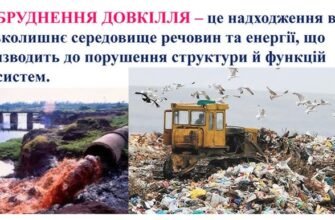 Наслідки забруднення навколишнього середовища: вплив на здоров’я та природу