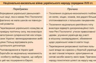 Наслідки Зборівського договору: вплив на Україну та козацтво