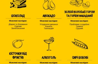 Чи можна собакам горіхи: поради та застереження для власників