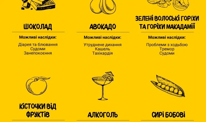 Чи можна собакам горіхи: поради та застереження для власників Чи можна собакам горіхи: поради та застереження для власників