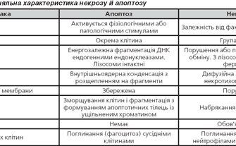 Наслідки некрозу: як уникнути небезпечних ускладнень для здоров’я