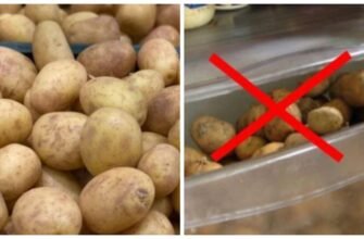 Чи можна їсти картоплю при онкології: поради та застереження лікарів