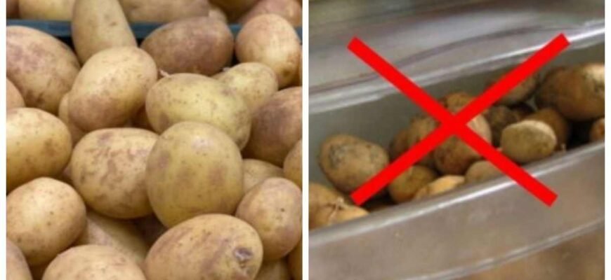 Чи можна їсти картоплю при онкології: поради та застереження лікарів