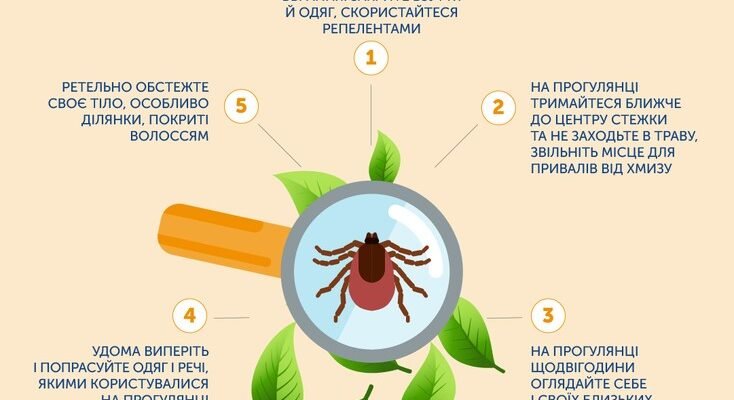 Перша допомога при укусах кліща: як діяти і захистити здоров’я