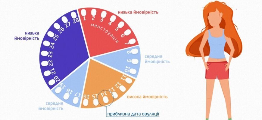 Чи можна завагітніти перед місячними: розвінчуємо міфи та реальність